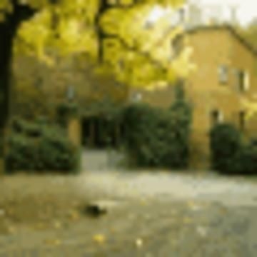Villa Engracia3