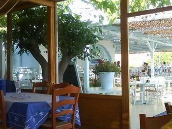Irini3