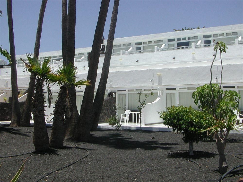 Arena Dorada4