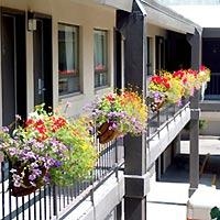 Best Western Plus Clocktower Inn4