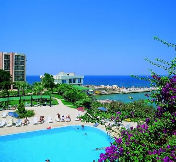 Cande Festival Hotel2