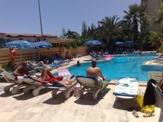 Palmiye4