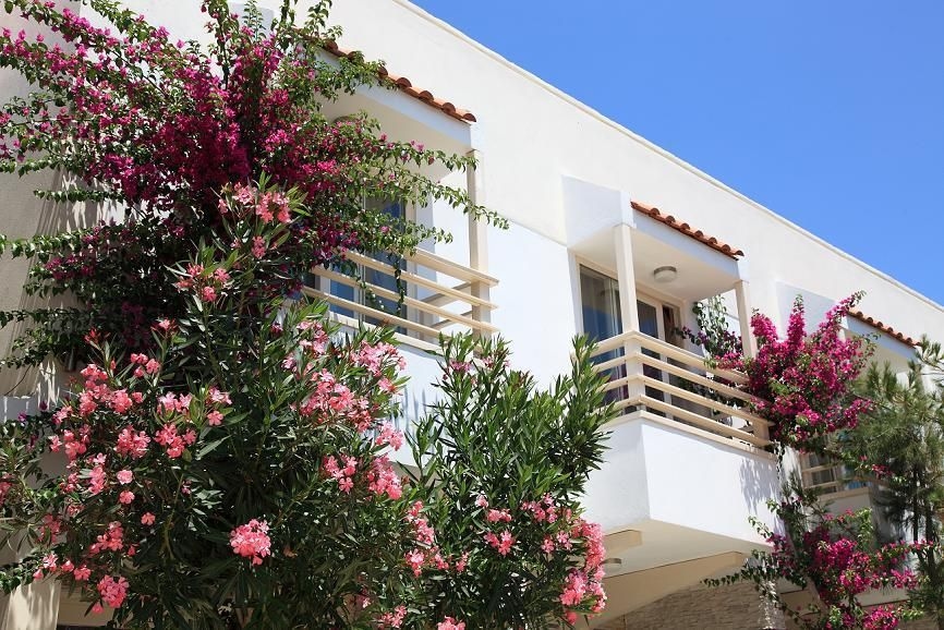 Delfi Hotel4