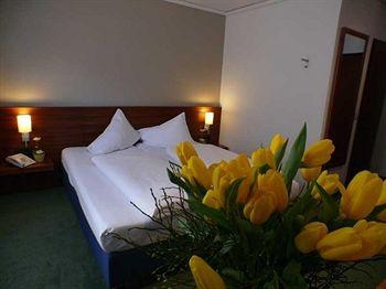 Alpin Park Hotel4