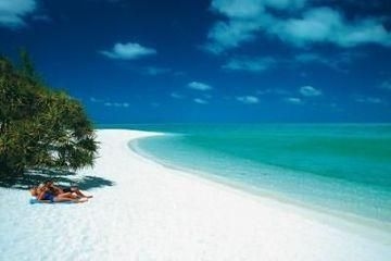 Wilson Island Resort0