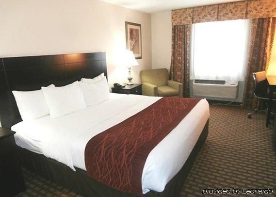 Comfort Inn & Suites Downtown0