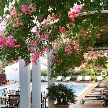 Melia Cala D'or Boutique Hotel2