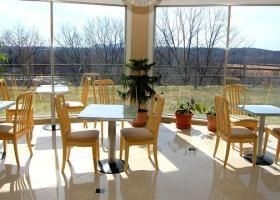 Rodeway Inn Skytop2