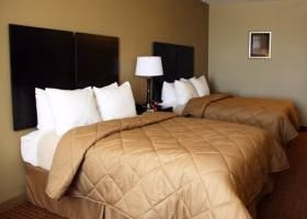 Comfort Inn & Suites1