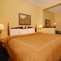 Comfort Suites Comfort Dome0