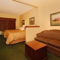Comfort Suites Comfort Dome1