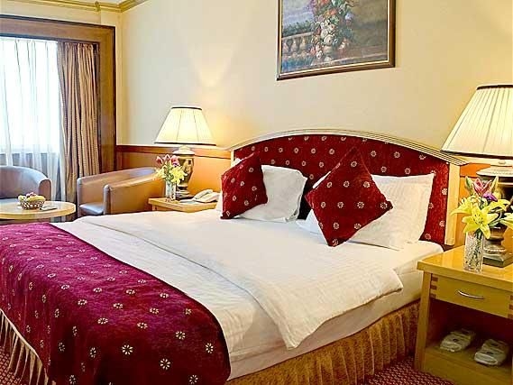 DELMON PALACE HOTEL3