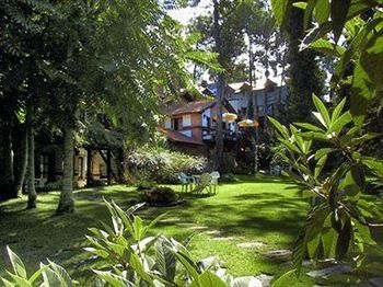 Posada del Bosque0