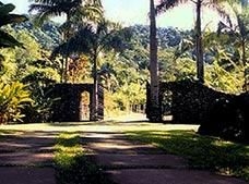 Sitio Arariba1