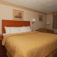 Comfort Inn Central3