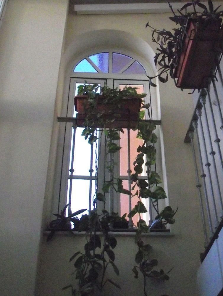 Hostal Italia4