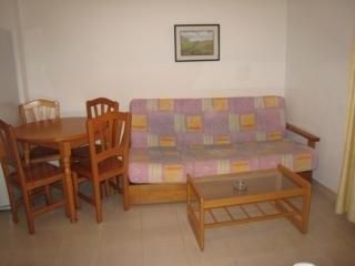 Oasis4