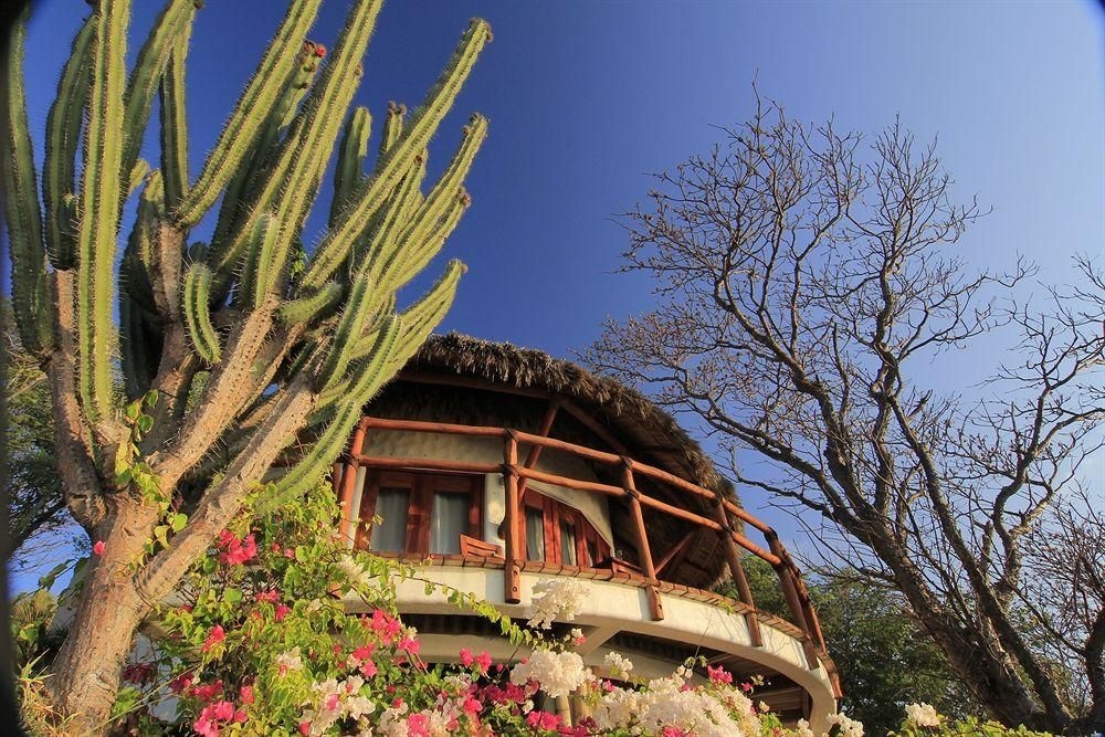 Zoa Hotel Secreto1