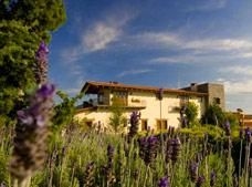 San Bernardo Hotel and Spa0