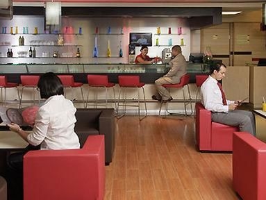 Ibis Hermosillo2