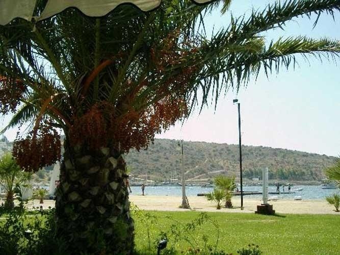 Tumay Hotel2