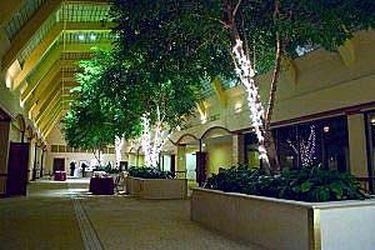 Hotel Dallas Mockingbird4