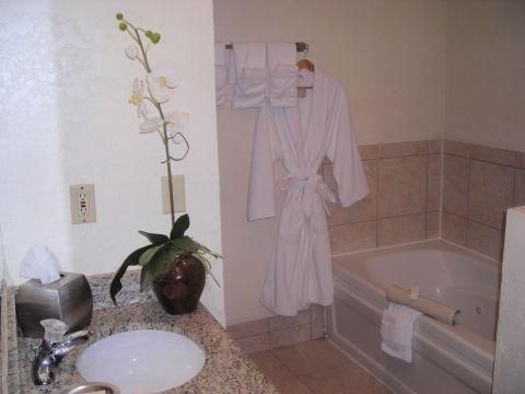 Chase Suite Hotel Baton Rouge4