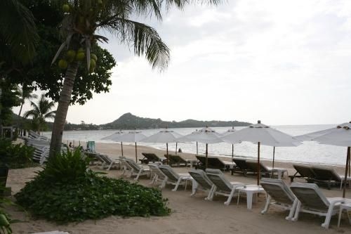 สมุย จัสมิน รีสอร์ต (Samui Jasmine Resort)3