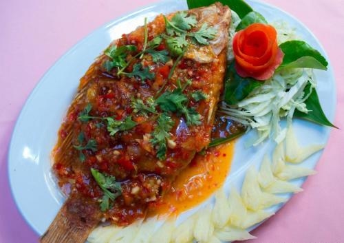 ทรัพย์ไพรวัลย์ รีสอร์ท (Sappraiwan Elephant Resort)3