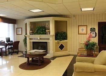 Comfort Inn Millennium4