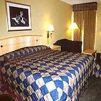 Elvis Presleys Heartbreak Hotel1