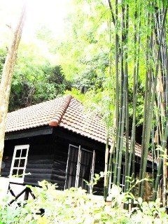 ท่าตอน ริเว่อ วิว (Thaton River View Resort)3