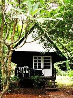 ท่าตอน ริเว่อ วิว (Thaton River View Resort)4