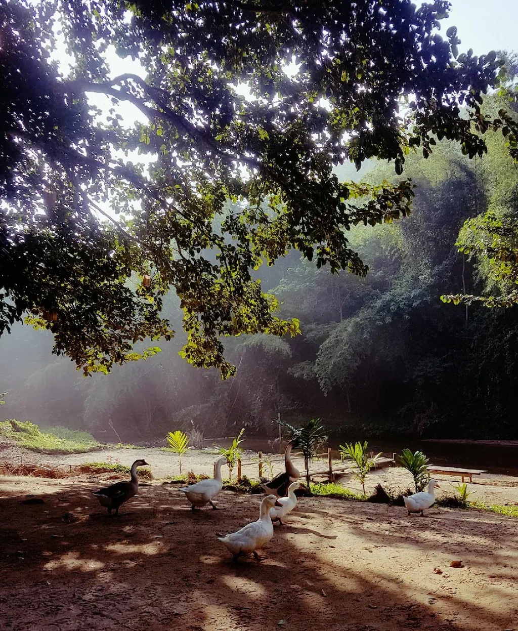 ไบบุรี รีสอร์ท (Bibury Resort)1