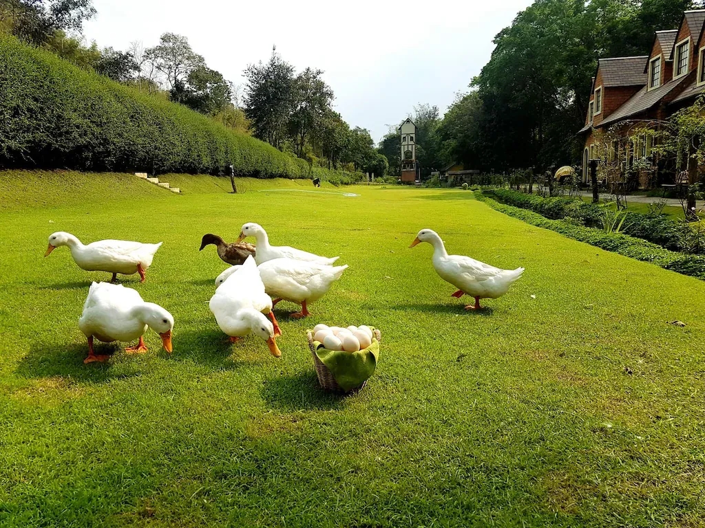 ไบบุรี รีสอร์ท (Bibury Resort)2
