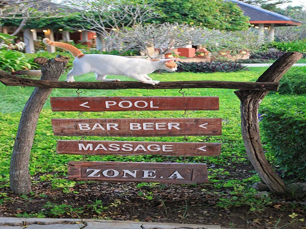 ลีลาวลัย รีสอร์ท (Lilawalai Resort)1