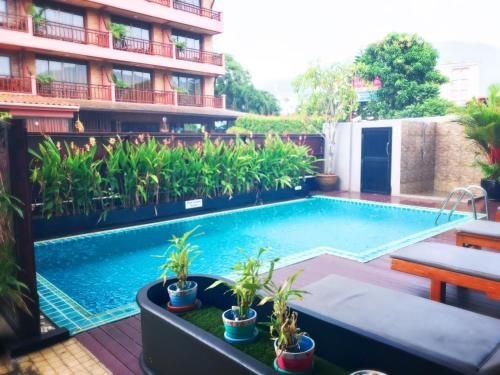 โรงแรมป่าตอง 5 (Patong V Hotel)1