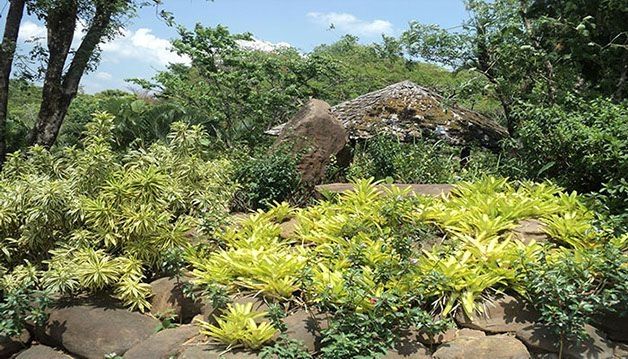 เขาค้อ วัลเล่ย์ (Khao Kho Valley)1