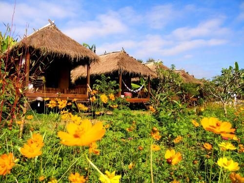 วิลล่าเดอปาย (Villa De Pai)1