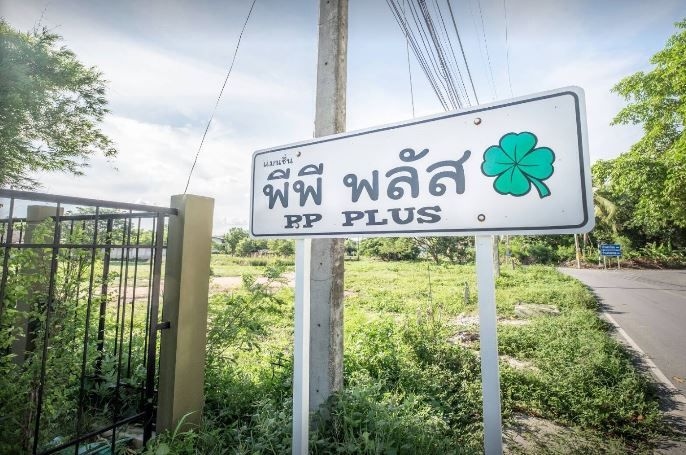 PP Plus Mansion4