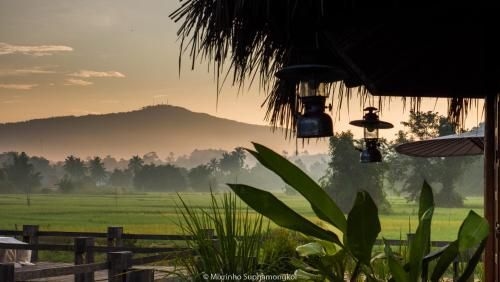 ภูเรือเรือนไม้ รีสอร์ท (Phuruarounmai Resort)3