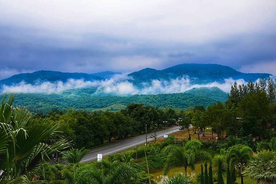 พนาลี โฮม แอนด์ แคมป์ปิ้ง รีสอร์ท (Panalee Home And Camping Resort)4