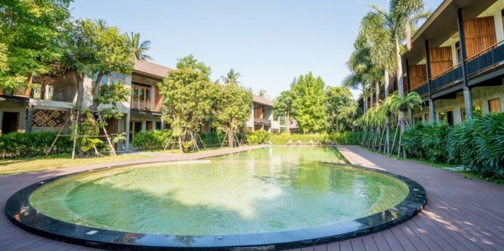 เดอะ บัฟฟาโล่ อัมพวา (The Buffalo Amphawa)2