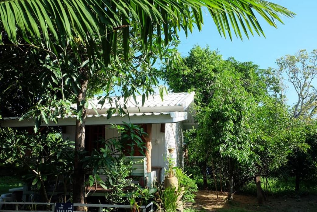 บ้านสวนรีสอร์ท แอนด์ กาแฟสด (Baansuan Resort and Coffee)1