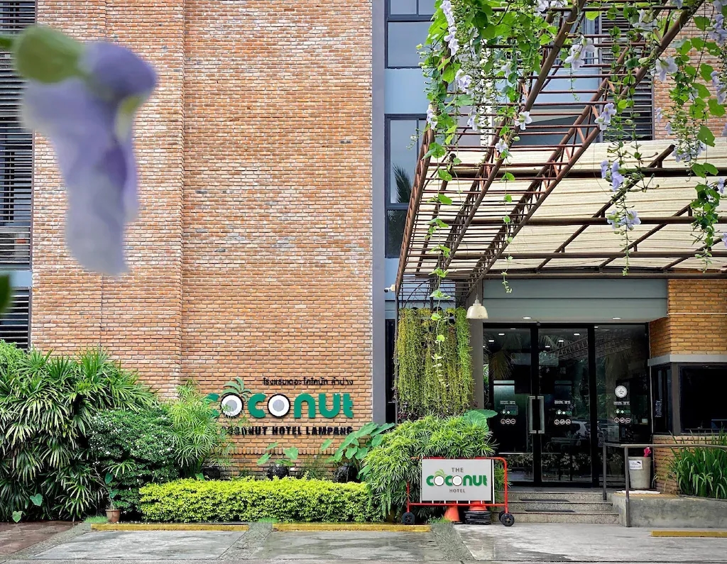 โรงแรมเดอะ โคโคนัท (The Coconut Hotel)0