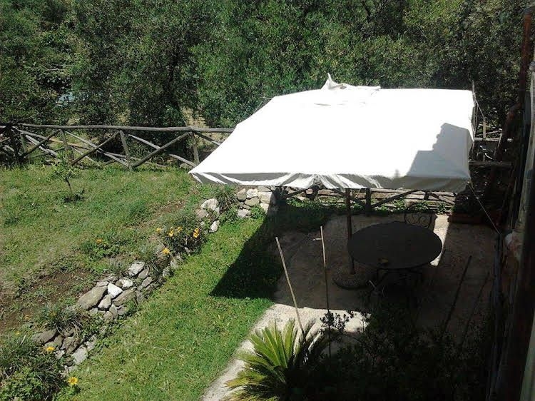 Gli Ulivi0
