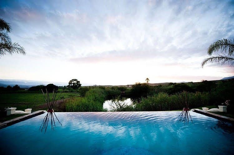 Rosendal Winery and Wellness Retreat0