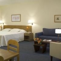 Aspen Suites Hotel1