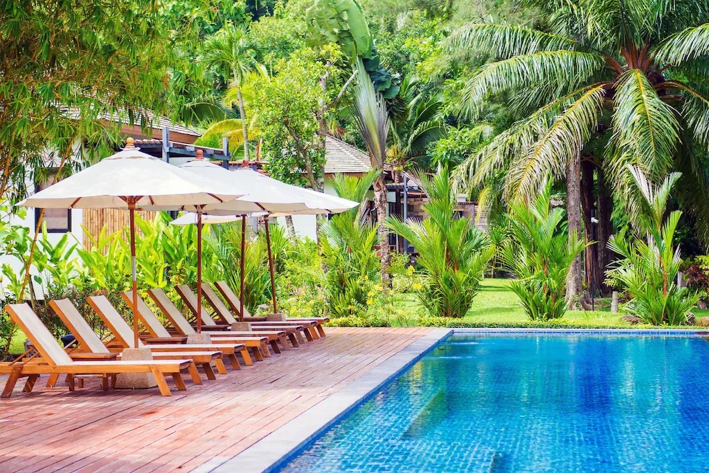 เดอะ แมนโกรฟ บาย บลูมังกี้ (The Mangrove by Blu Monkey)0