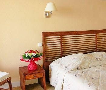 Hotel Le Dauphin0